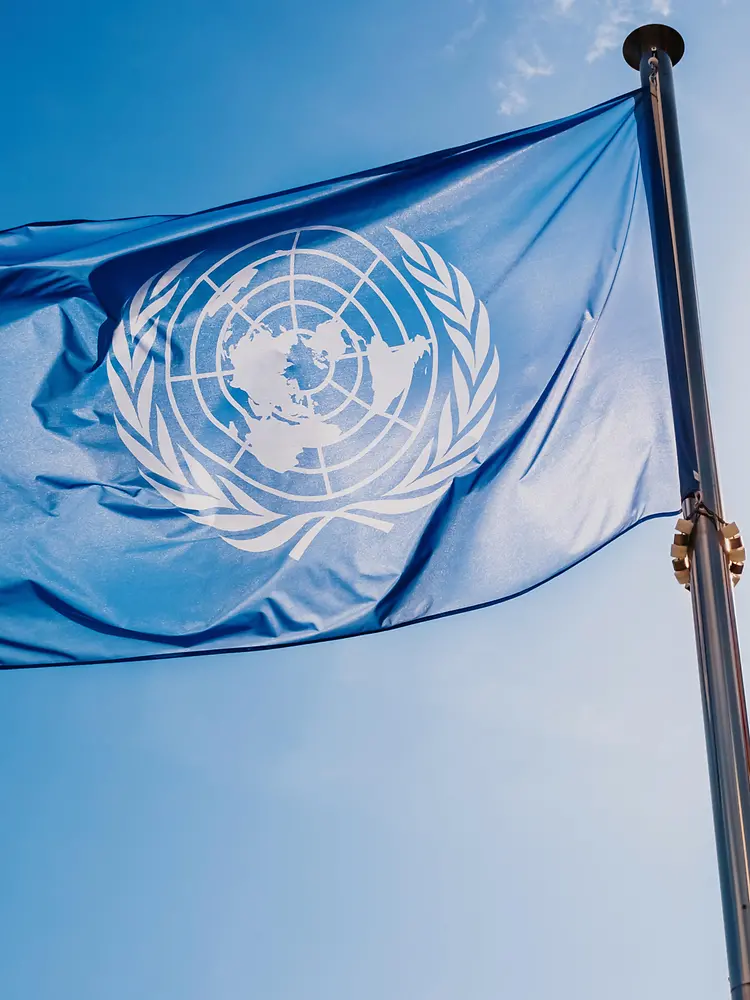 UN flag