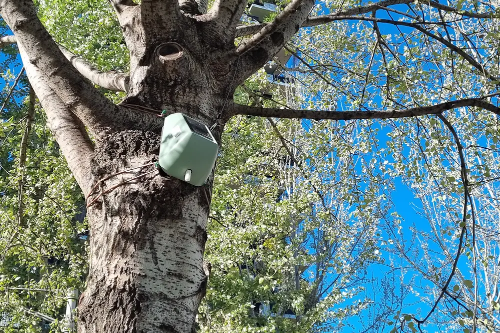 Prospettiva Terra, sensore installato su un albero a Milano