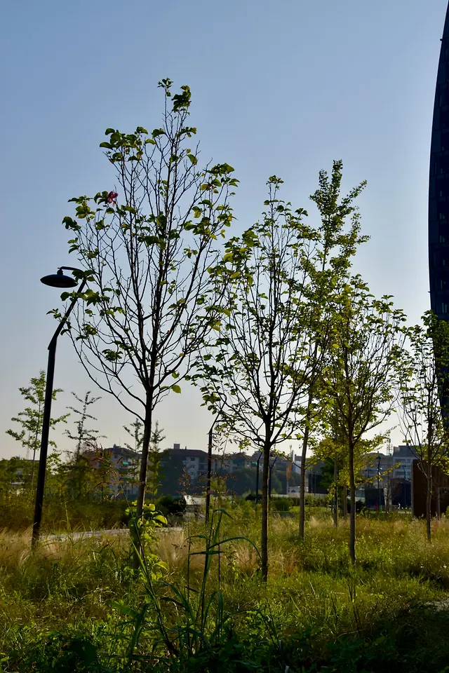 parco urbano a Milano